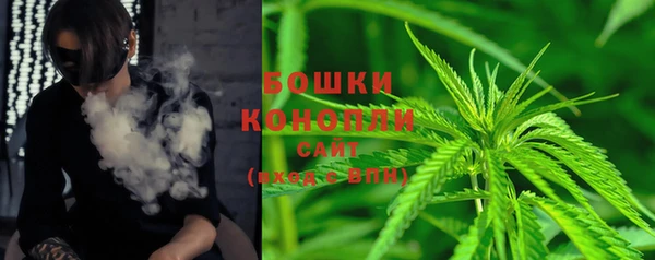 прущие грибы Киренск
