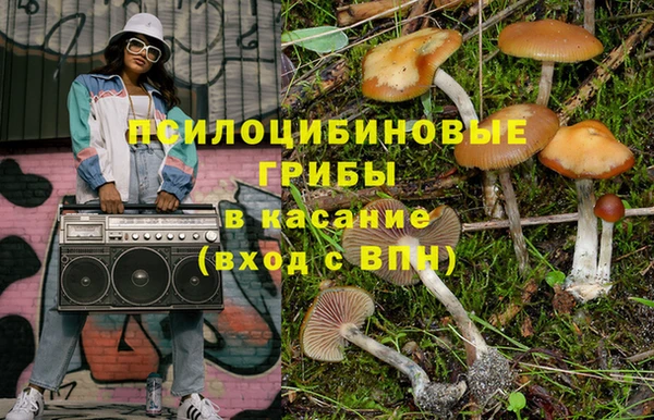 apvp Балахна