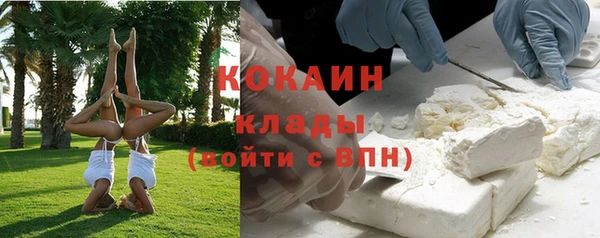 дживик Баксан