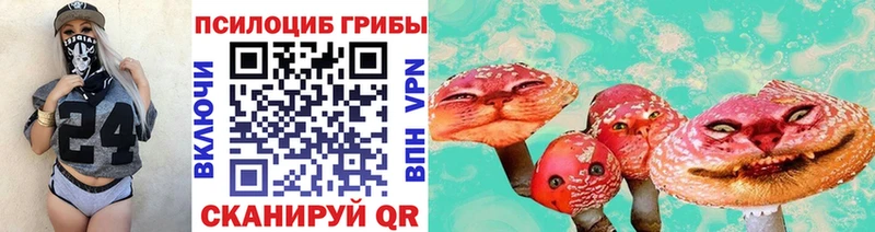 KRAKEN как зайти  Реж  Псилоцибиновые грибы MAGIC MUSHROOMS 