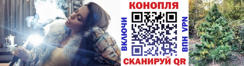 магазин продажи наркотиков  Реж  Канабис SATIVA & INDICA 